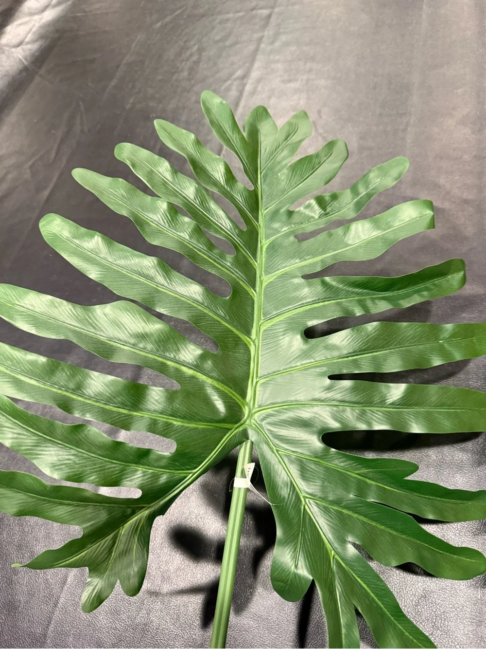 Threshold Green Philodendron Leaf Branch Stem NWT!